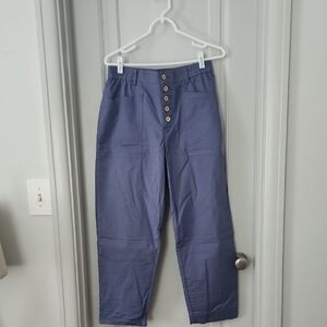 Lintico Casual Button-Front Women's Pants in Gray/Blue, Size Medium